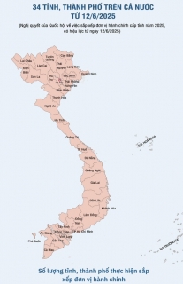Bản tin thuế tháng 7/2025